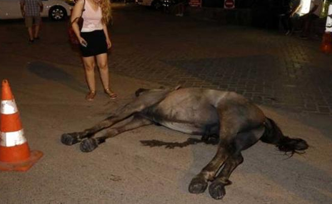 Adana'da atla yük taşımak yasaklandı