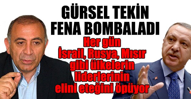 Gürsel Tekin'den Erdogan'a 'özür' hatırlatması