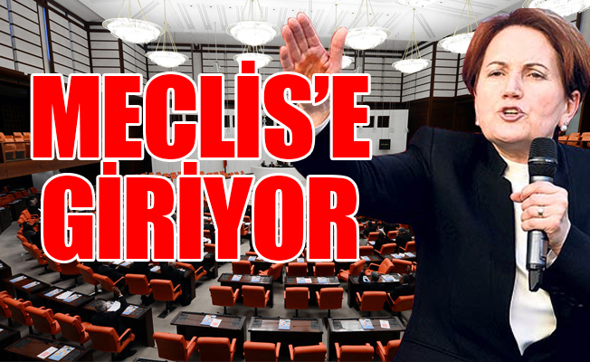 Meral Akşener'e 'evet' diyen AKP'li Bakan kim?