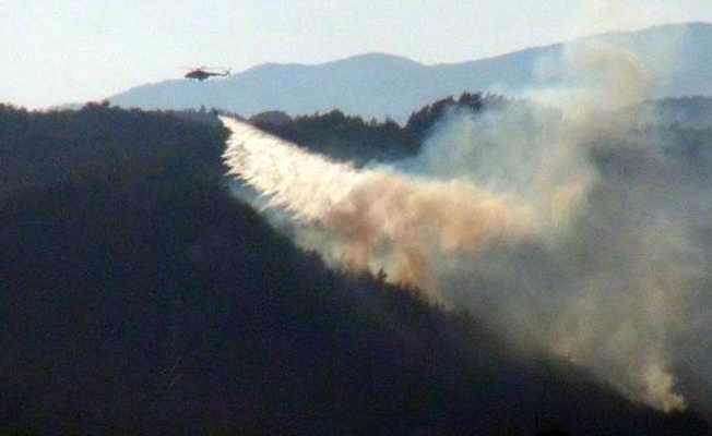 Hatay'daki yangında 5 hektarlık orman zarar gördü
