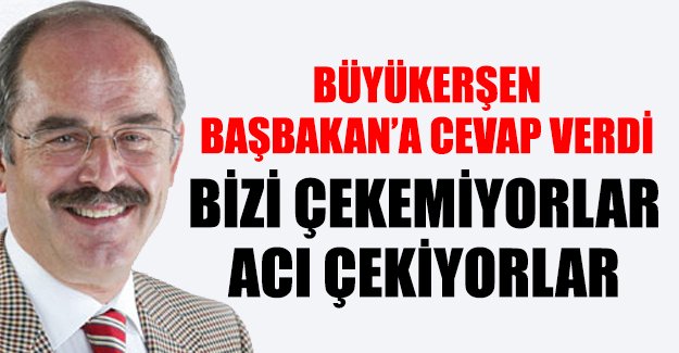 CHP'li Büyükerşen: Bizi çekemiyorlar, acı çekiyorlar