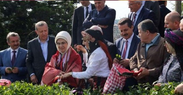 CHP: Yargıçay ve Danışçay'a hayır; kanun yayınlanır yayınlanmaz iptal başvurusu yapacağız!