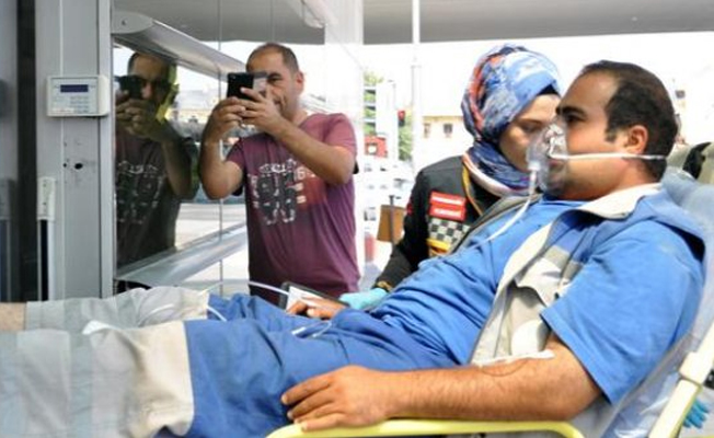 Yılanın ısırdığı belediye işçisi hastanelik oldu