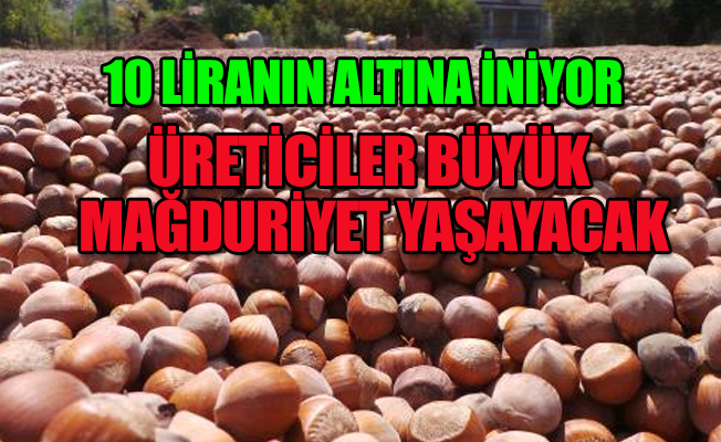 Fındık üreticisine serbest piyasa şoku! Fiyatlar düştükçe düşüyor