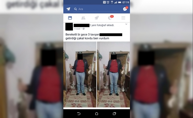 Kaçak avcıyı sosyal medya ele verdi