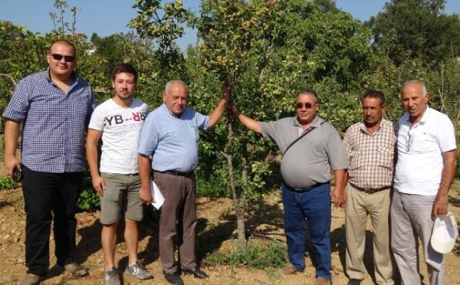 Alıç, alternatif olarak üreticilere umut olacak