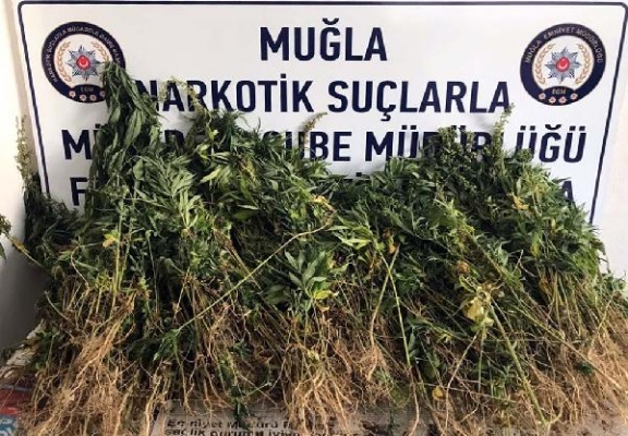 Elma bahçesine uyuşturucu operasyonu!