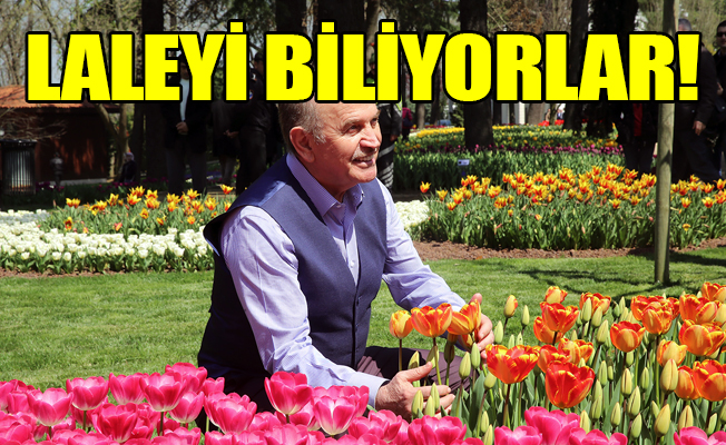 Topbaş itiraf etti: İstanbullu ağacları bilmiyor