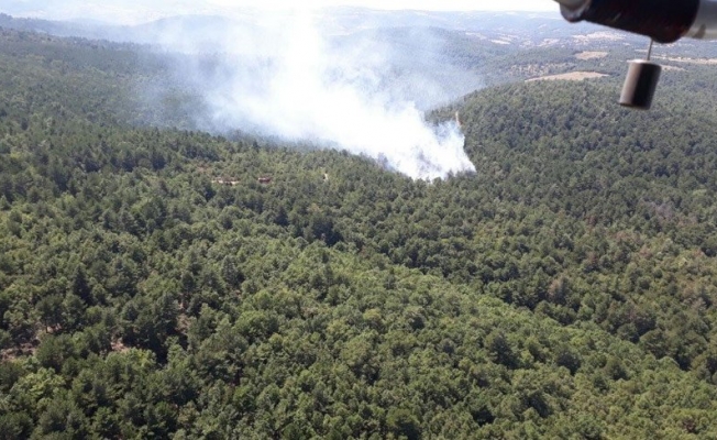 Çanakkale’de korkutan orman yangını!