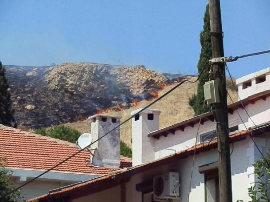 Foça'da makilik ve otluk alanda çıkan yangın korkuttu
