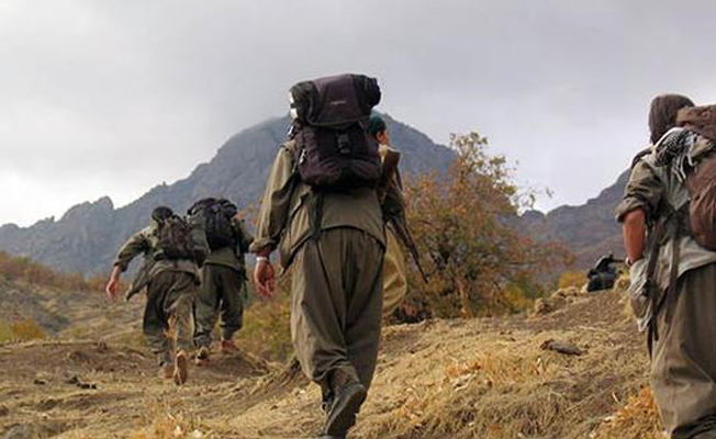 Van'da 2 PKK'lı öldürüldü