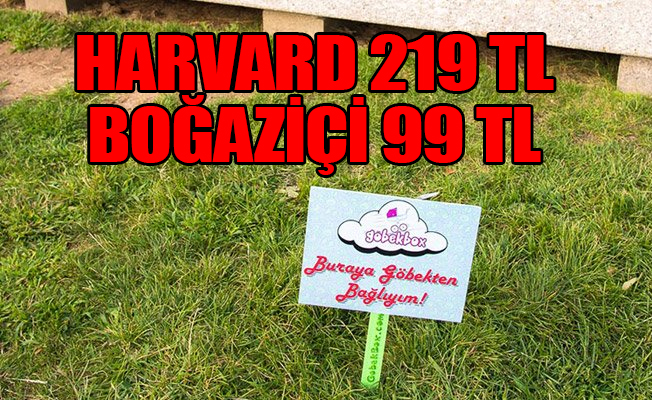Üniversiteler, göbekbağı gömen şirketten habersiz!