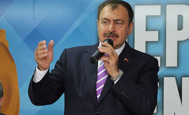 Bakan Eroğlu: Atletle algı yönetmek mümkün değil
