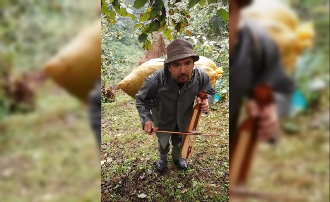 Fındık fiyatlarına türkülü gönderme