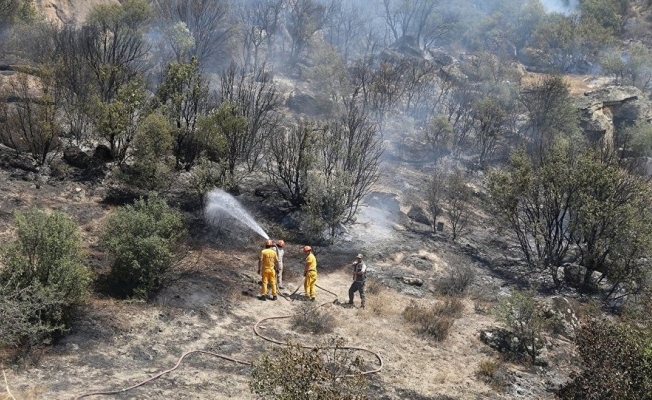 Yangın incelemesine gelen jandarma kenevir buldu