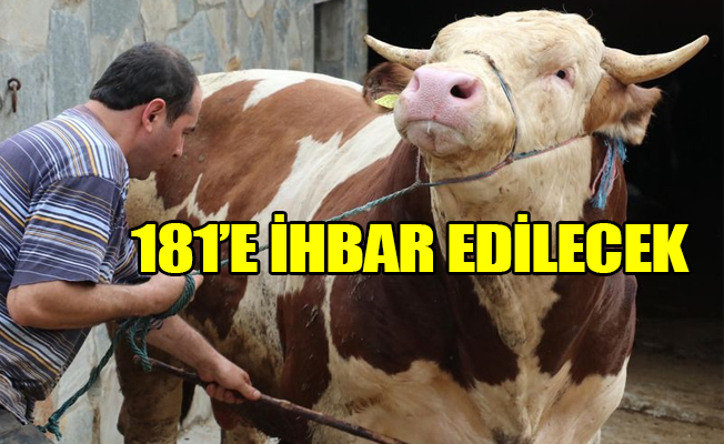 Kapı önünde kurban kesene verilecek ceza belli oldu
