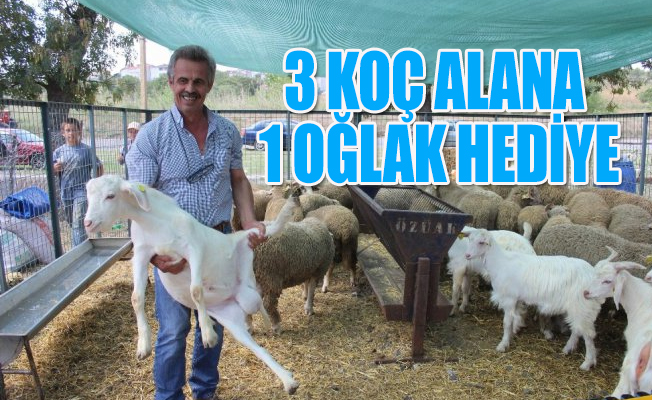 Üreticinin kurban satma telaşı...