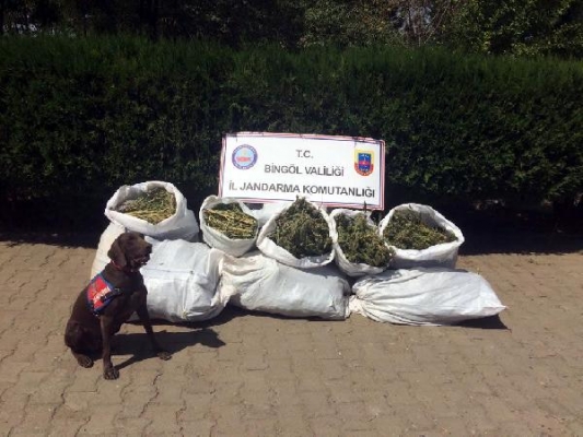 Uyuşturucu operasyonunda 91 kilo esrar ele geçirildi