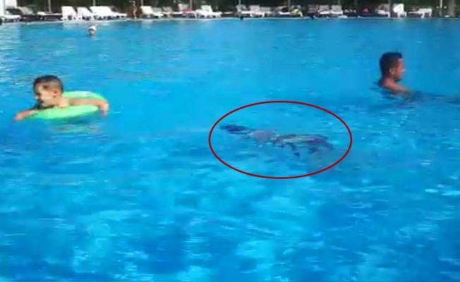 Yiğit havuzda boğulurken kimse yardım etmemiş