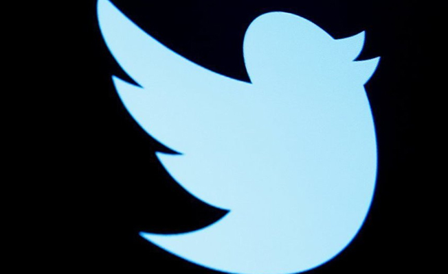 Twitter 'sivrisineği öldüren' kullanıcının hesabını kapattı