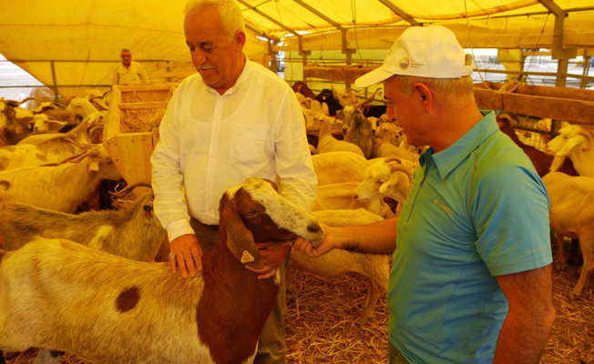 Başkan Akgün: Kurban Bayramı için tüm tedbirlerimizi aldık
