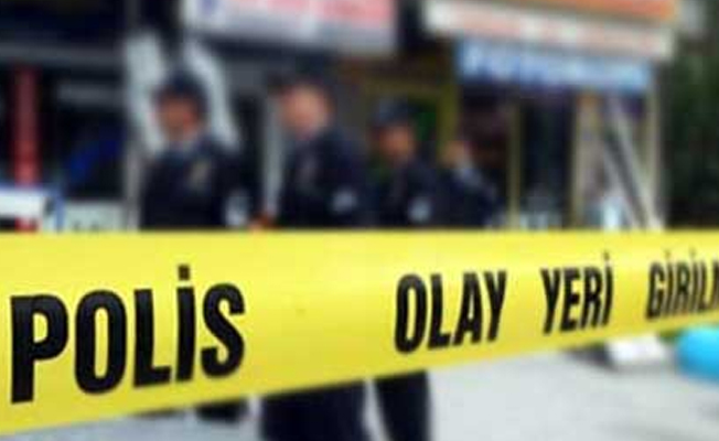 Eve girip 2 kardeşi bıçakladılar!