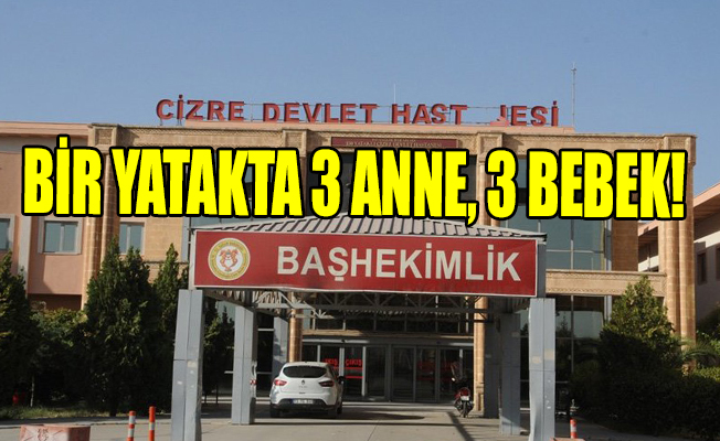 Cizre’de karnında bebeğiyle ölen anneden sonra doktordan şok itiraf!