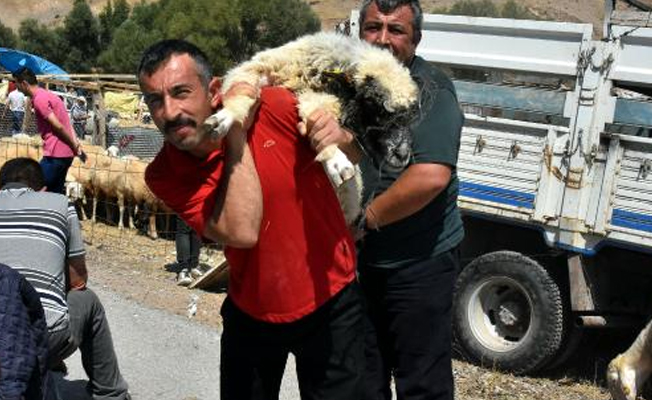 Kurban pazarında arife günü hareketliliği