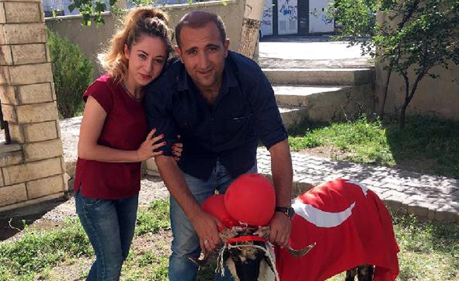 Süslenen koçlar gelinlere gitti