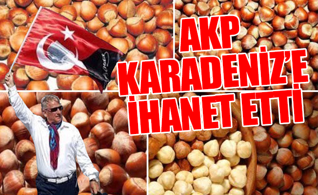 Haluk Pekşen: AKP fındık üreticisini perişan etti