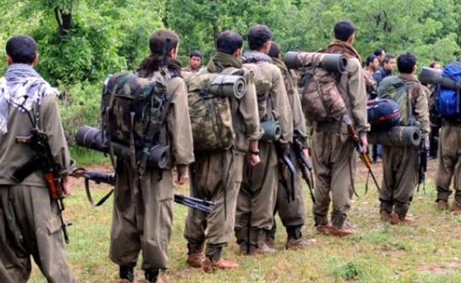 Kars'ta 5 PKK'lı öldürüldü