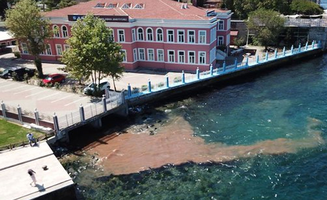 İstanbul Boğazı'na yine kurban kanı aktı