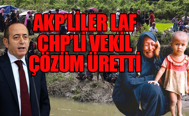 CHP'li Hamzaçebi'den flaş Arakan önerisi