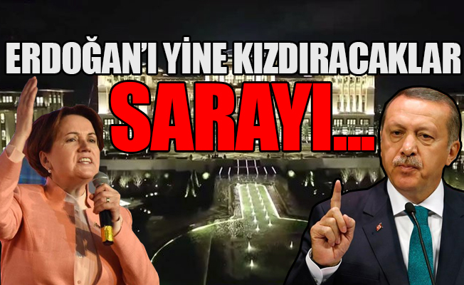 Meral Akşener'in yeni kuracağı partinin ilk yapacağı iş belli oldu