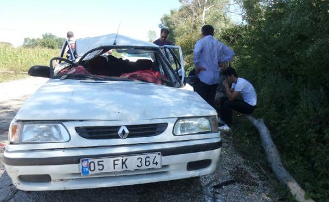 Seyir halindeki otomobilin üstüne ağaç düştü: 1 ölü, 2 yaralı
