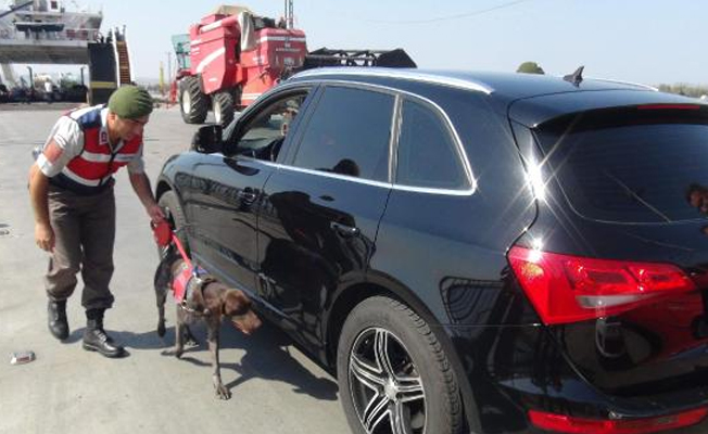 Jandarmadan Çardak Feribot İskelesi'nde güvenlik kontrolü
