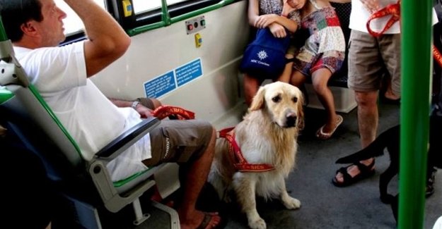 Hayvan hakları aktivistleri: Saldırılara karşı hayvanlarla metrobüse biniyoruz
