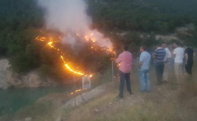Tokat’ta orman yangını