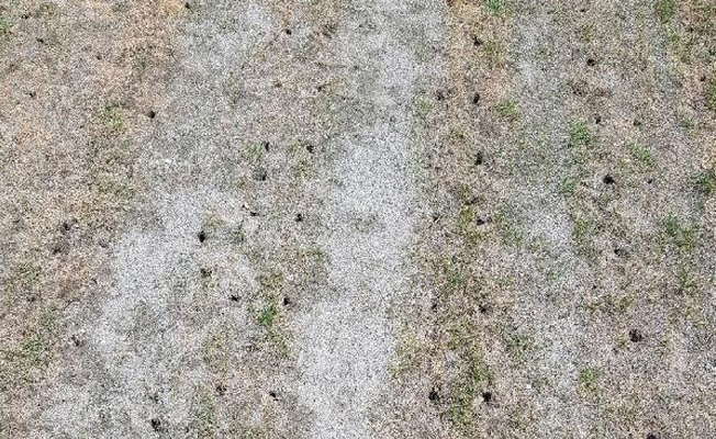 Stadyumun çimleri aşırı sıcaktan kurudu