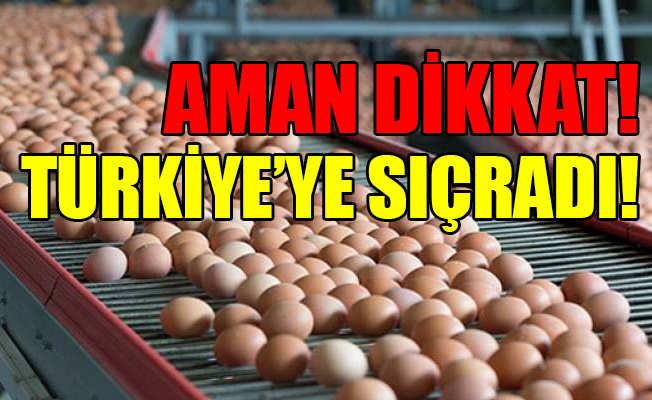 Yumurtada zehir alarmı