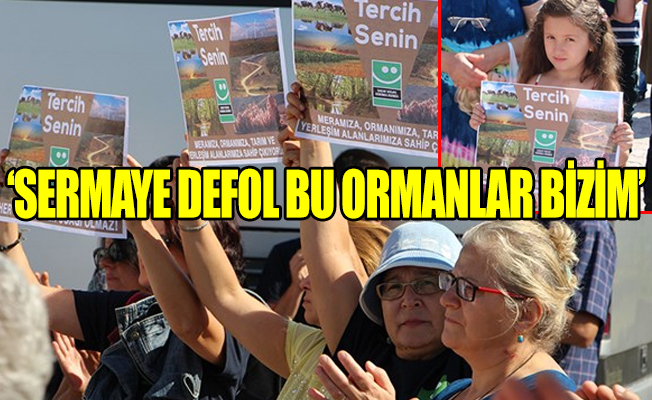 Her gün yeni bir orman katli!