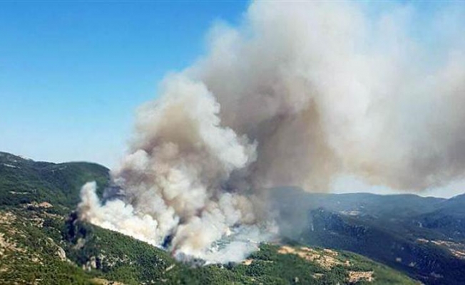 Muğla’da orman yangını! Evler risk altında... Yangın rüzgarın etkisiyle büyüyor