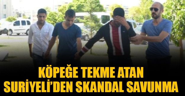 Köpeğe tekme atan Suriyeli: Ben insanım, o hayvan vursam ne olacak