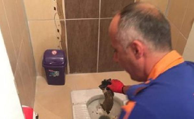 Tuvalet deliğine düşen yavru kediyi AFAD kurtardı