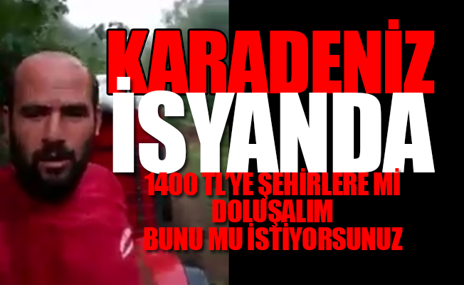 Fındık üreticisi isyanda: Biz size oy verdik, siz küresel Ferrero şirketine imtiyaz sağladınız