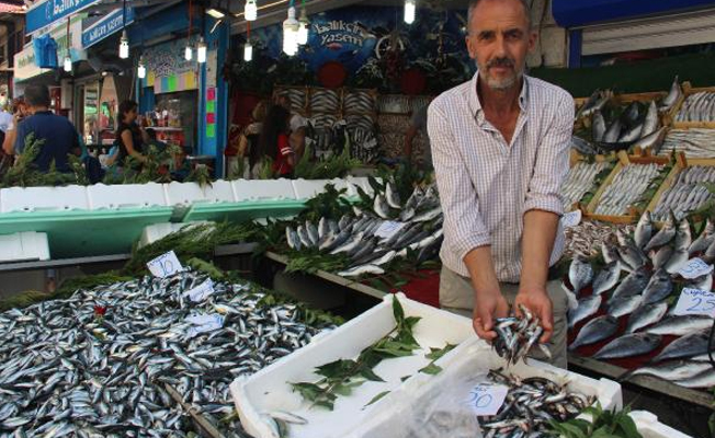 Hamsi 20 liraya yükseldi