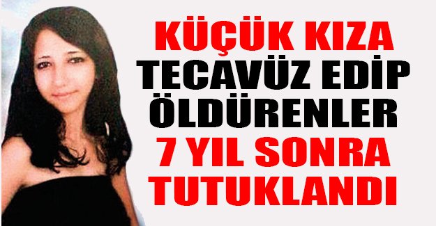 rocco siffredi pornstar oyuncak atı