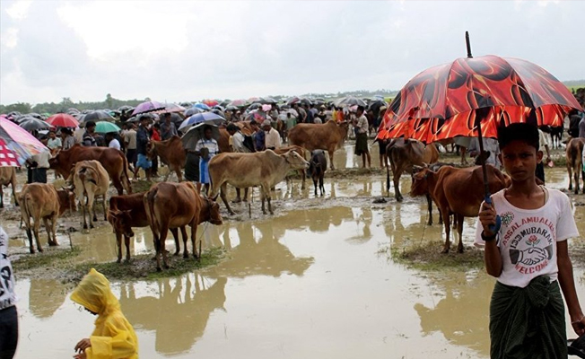 Bangladeş’e sığınan Arakanlıların sayısı 290 bine ulaştı