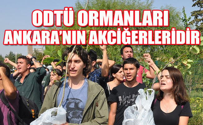 ODTÜ’lülerden fidanlı protesto