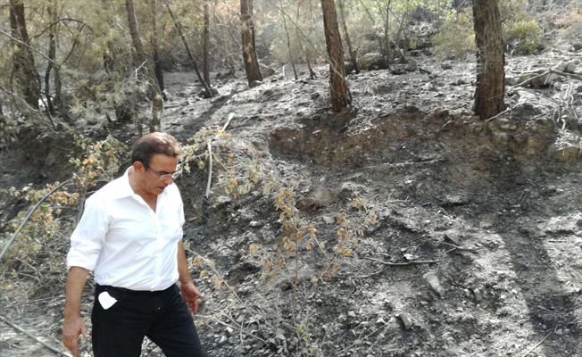 CHP'li Budak 150 hektarlık alanın kül olduğu Antalya'da!